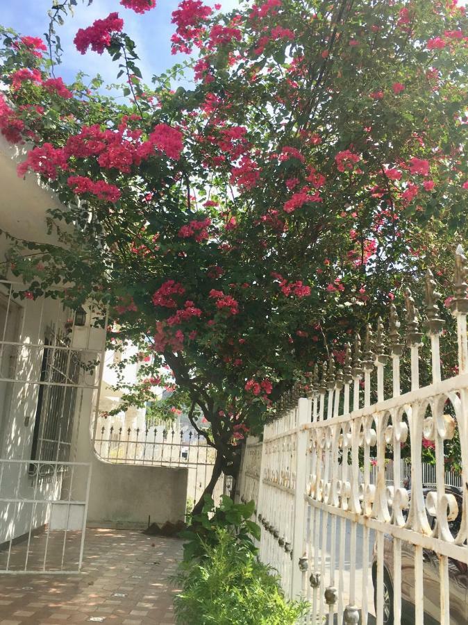 Alojamiento Arte Y Salud Bed & Breakfast Cartagena Ngoại thất bức ảnh